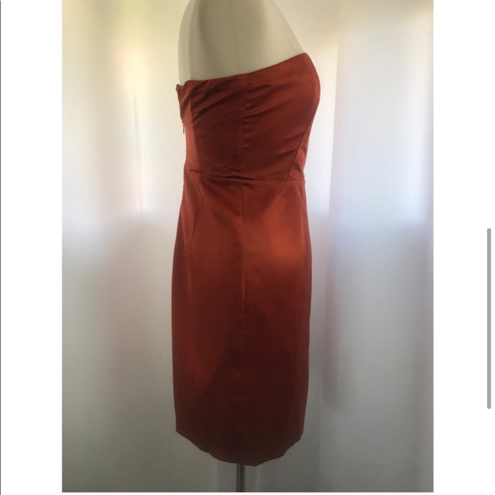 The Limited Strapless Ruffled Rust Dress - Picture 5 of 7